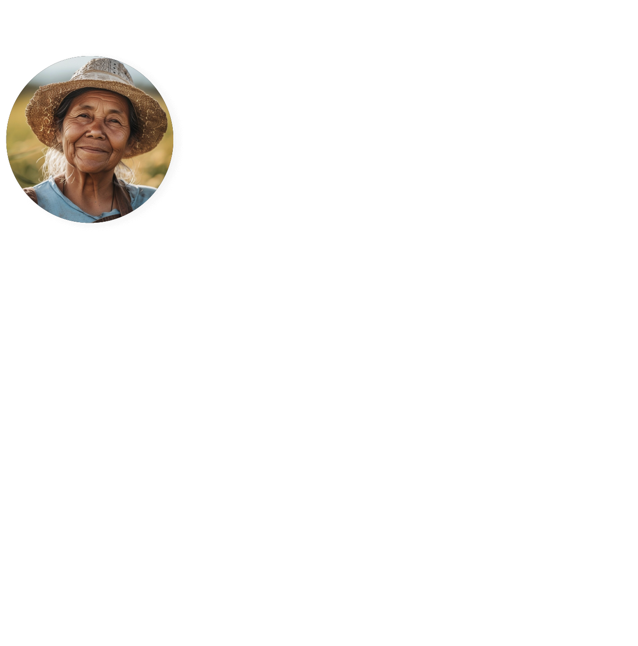 Layer