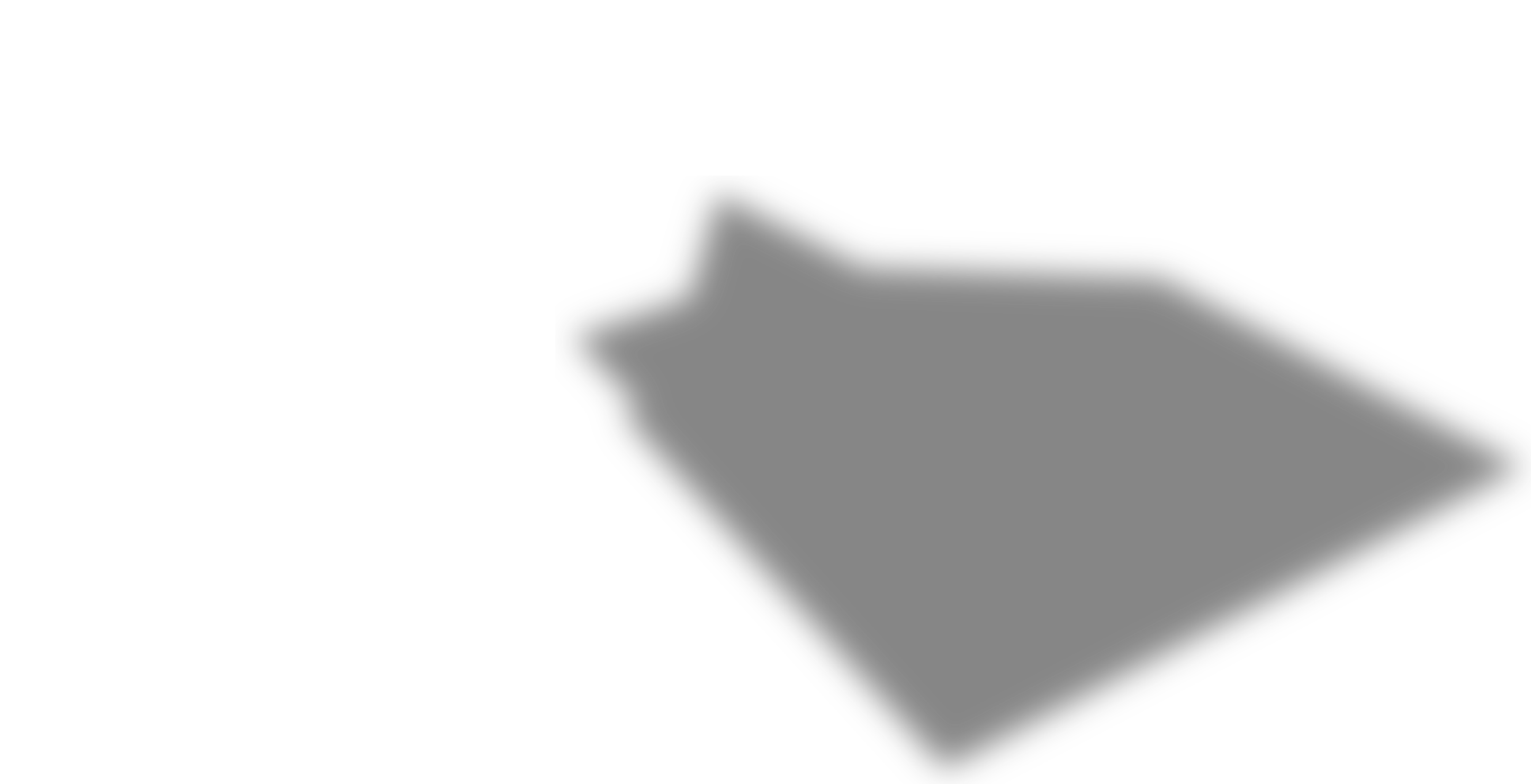 Layer